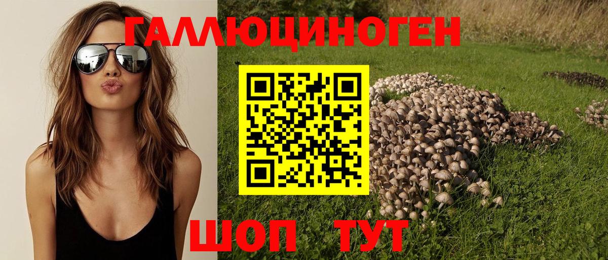 Псилоцибиновые грибы ЛСД  купить наркоту  Татарск  Вход с VPN 