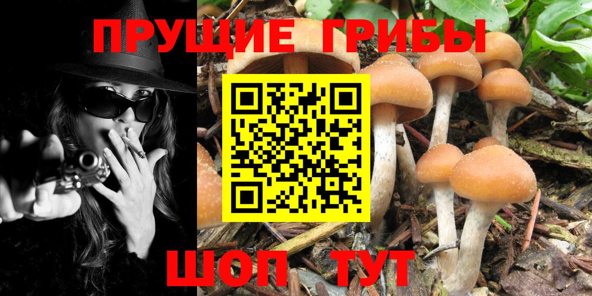 Псилоцибиновые грибы MAGIC MUSHROOMS Татарск